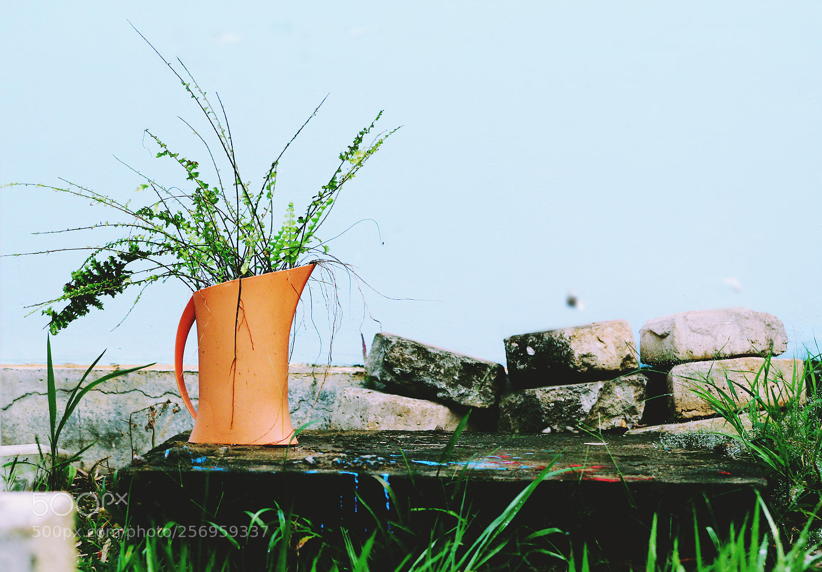 Canon EF 75-300mm f/4-5.6 sample photo. ::: photography