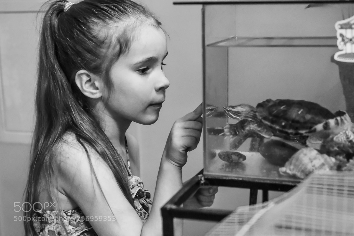 Nikon D750 sample photo. Untitled photography