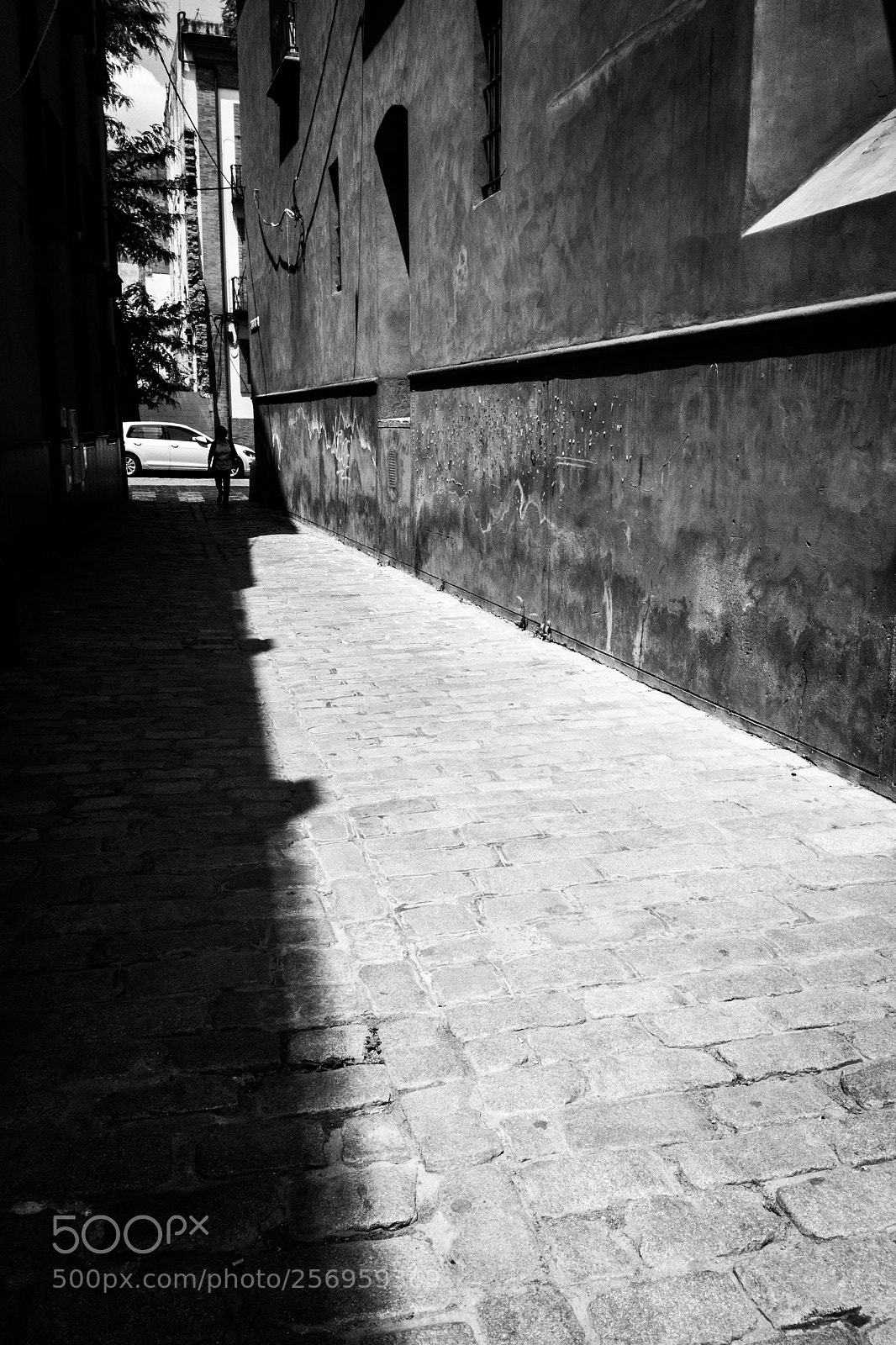 Apple iPhone SE sample photo. Ruiseñor street  photography