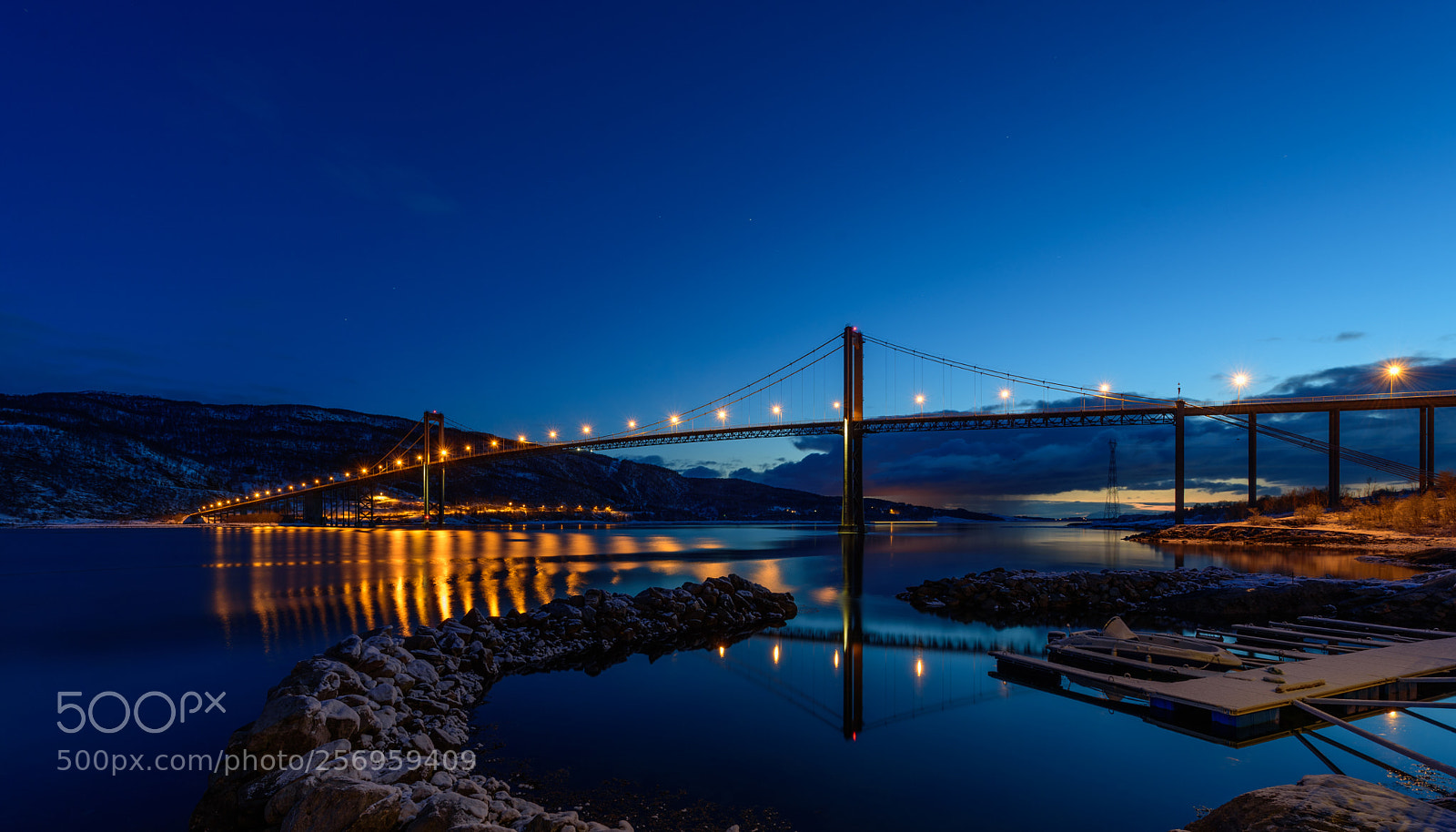 Nikon D750 sample photo. Cold blue night photography