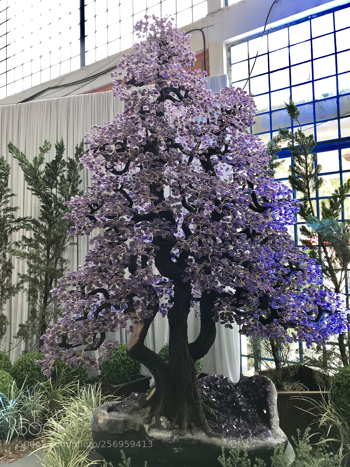 Apple iPhone 7 Plus sample photo. Amethyst tree photography