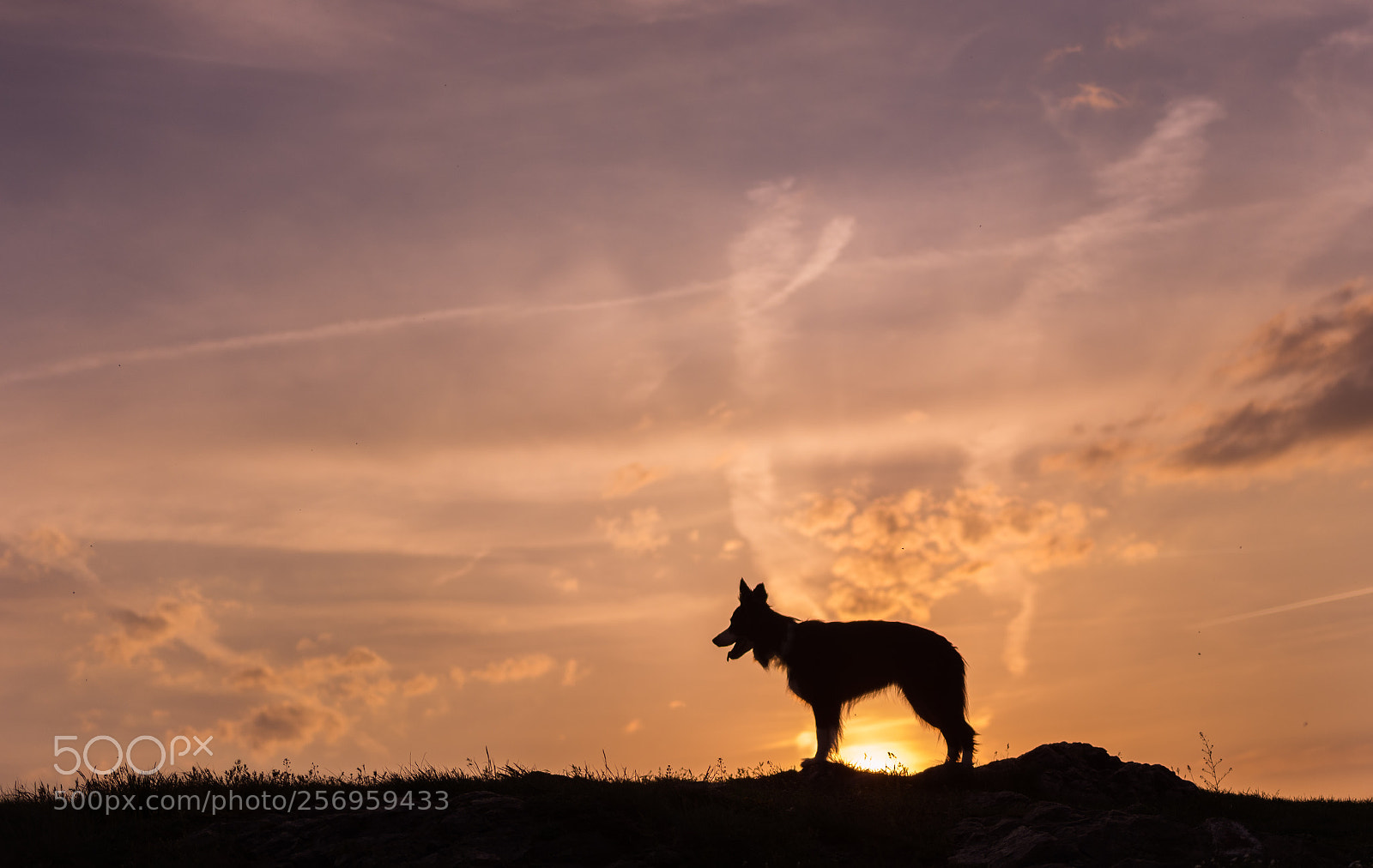 Nikon D7200 sample photo. Sunset photography