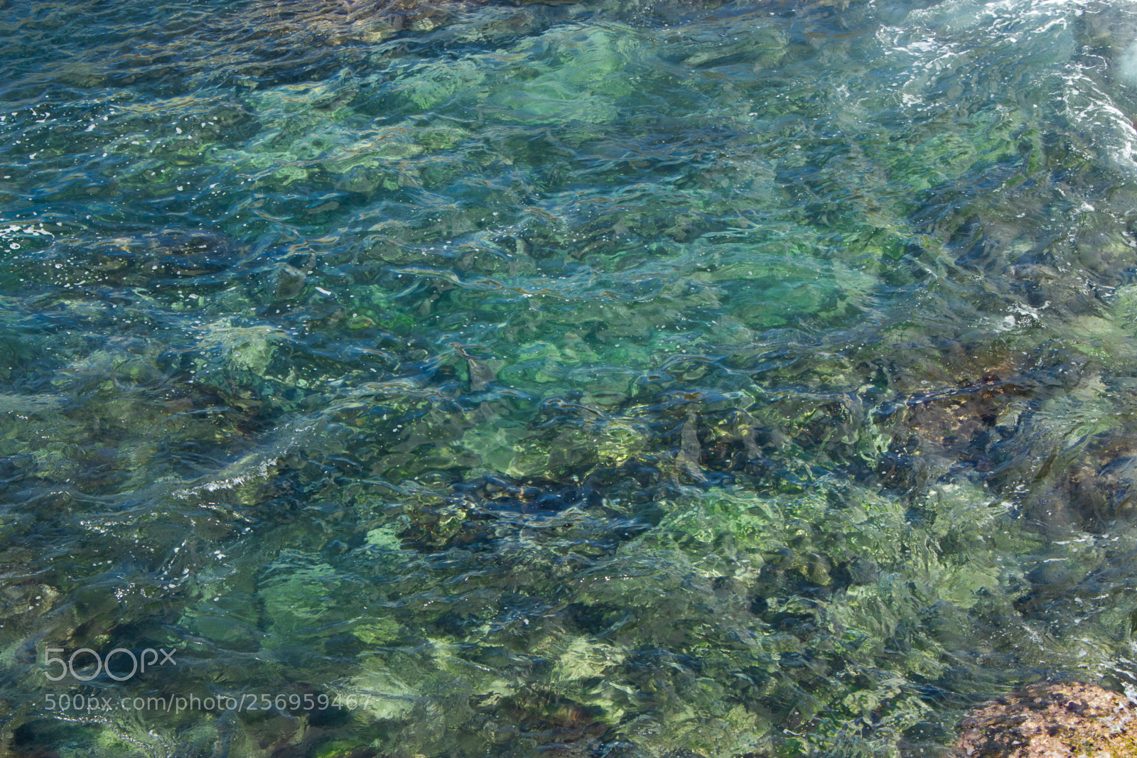 Canon EOS 700D (EOS Rebel T5i / EOS Kiss X7i) sample photo. Clear waters photography