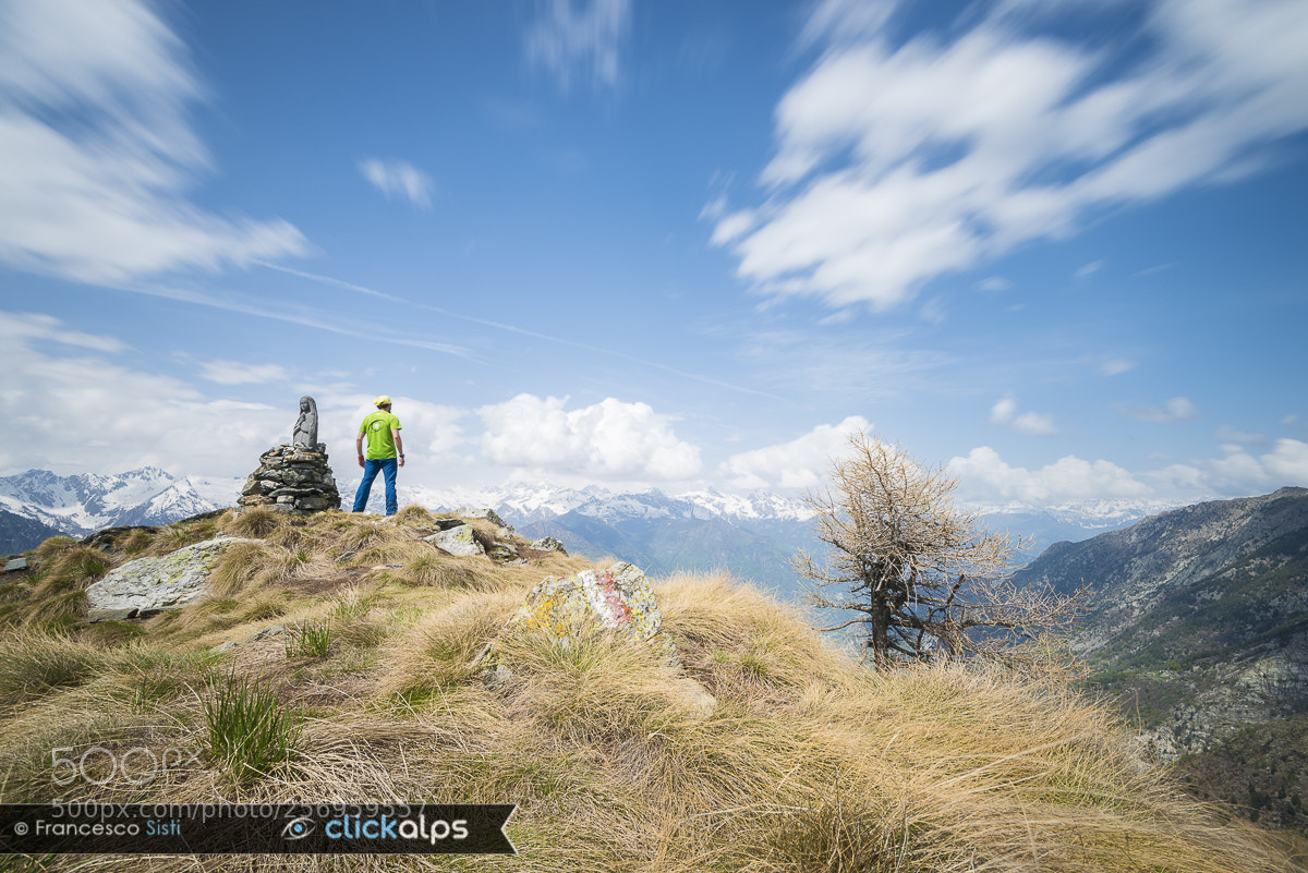 Nikon D810 sample photo. Springtime's peak vall e photography