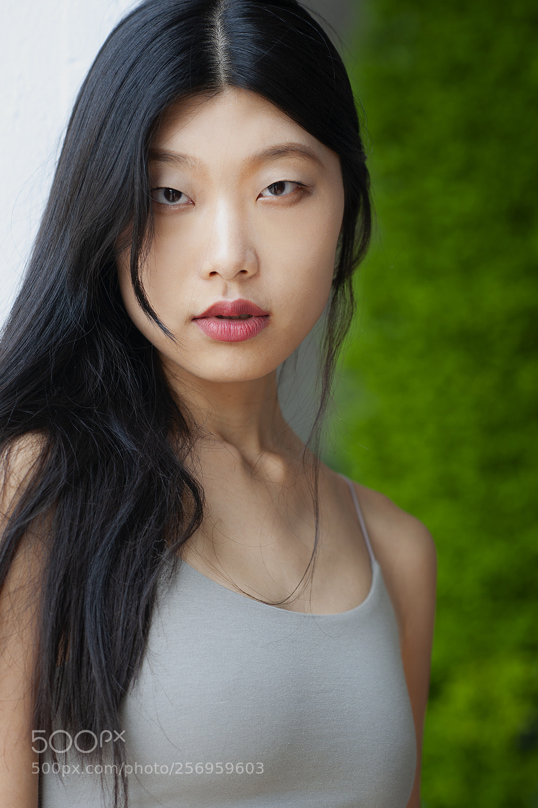 Nikon D700 sample photo. Liang shi photography