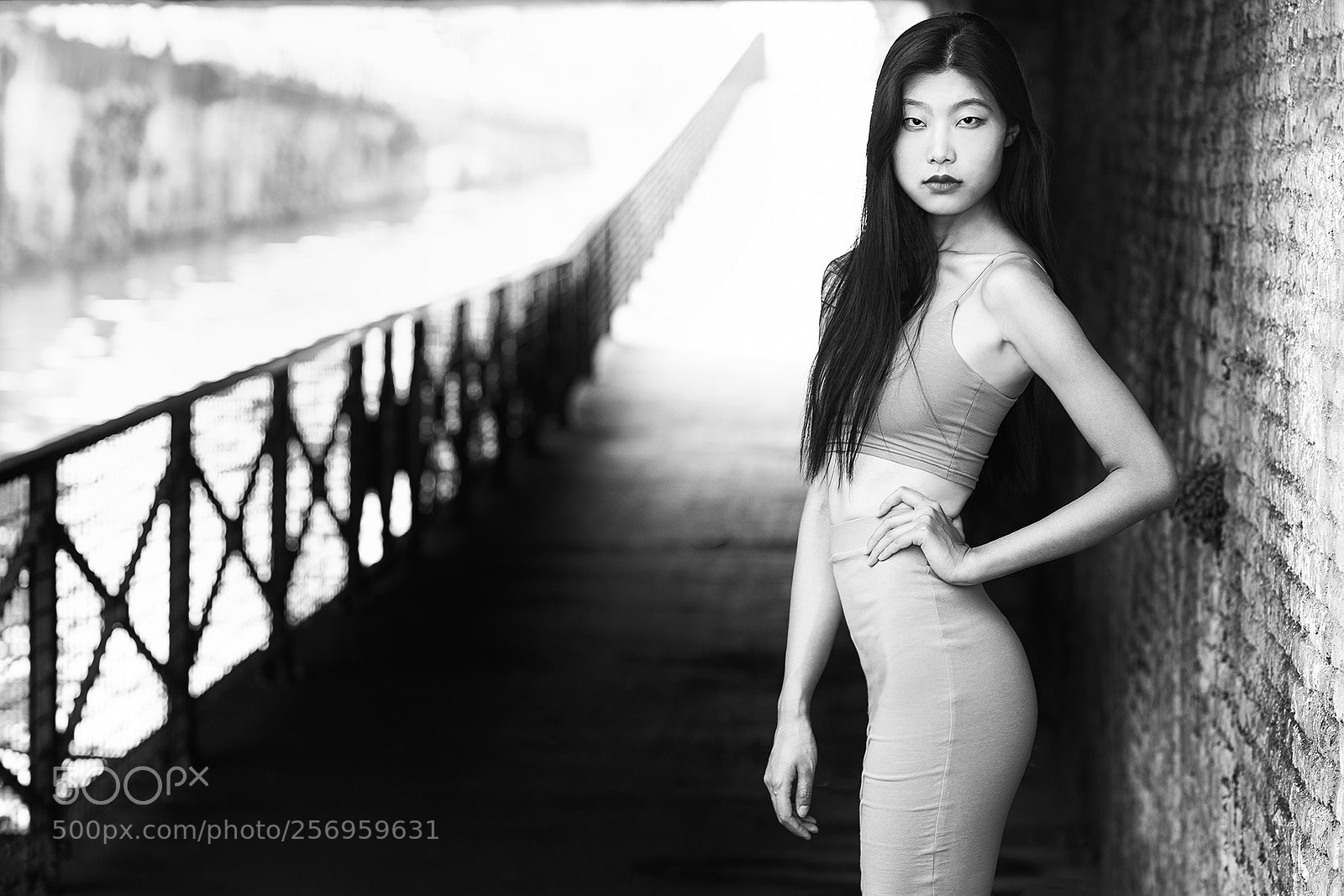 Nikon D700 sample photo. Liang shi photography