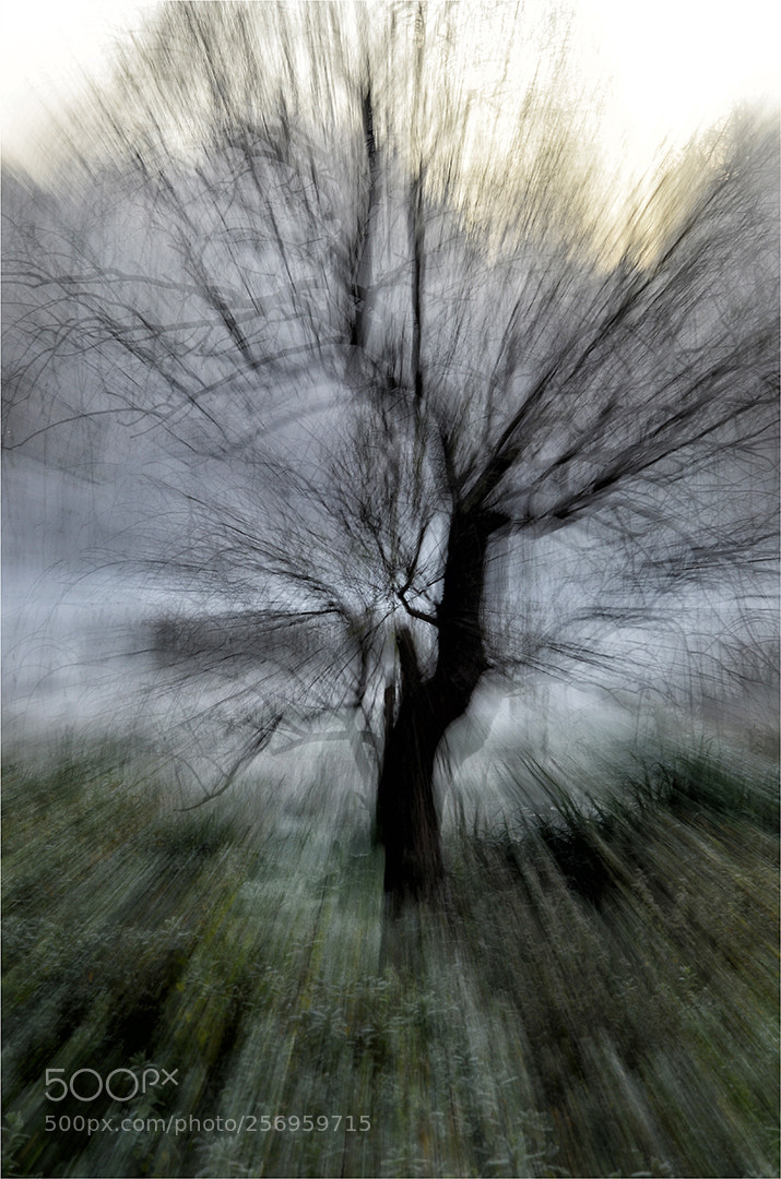 Nikon D7000 sample photo. Kenmo mist photography