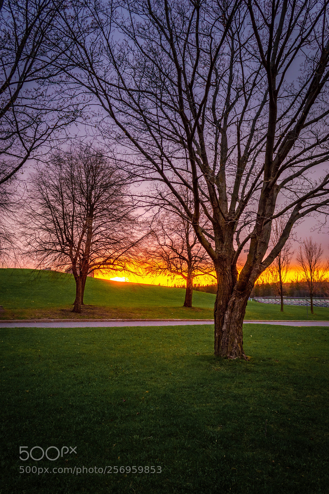 Nikon D3200 sample photo. Untitled photography