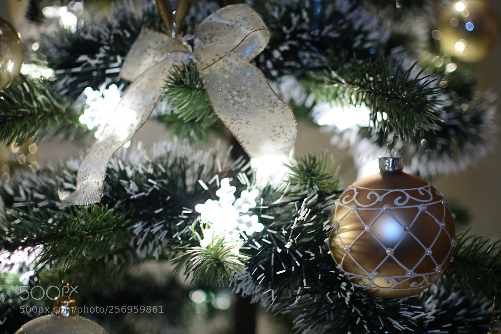 Nikon D7100 sample photo. Decoration photography