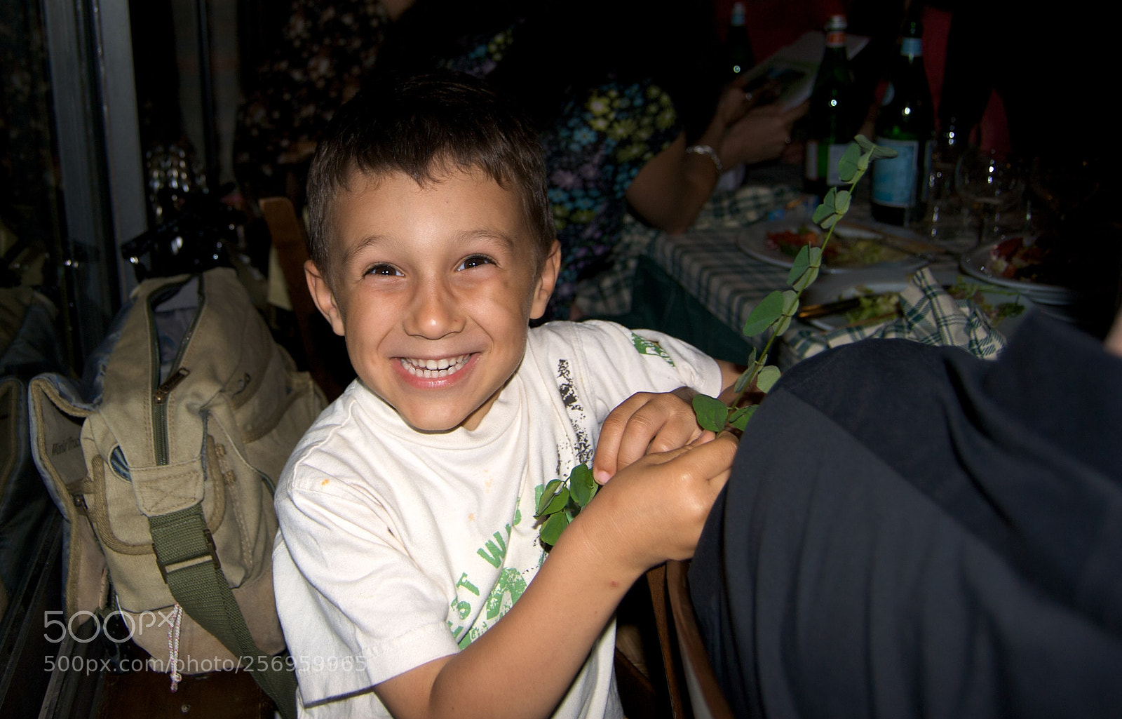 Nikon D60 sample photo. Version photography
