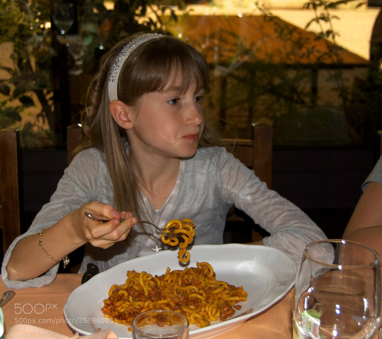 Nikon D60 sample photo. Version photography