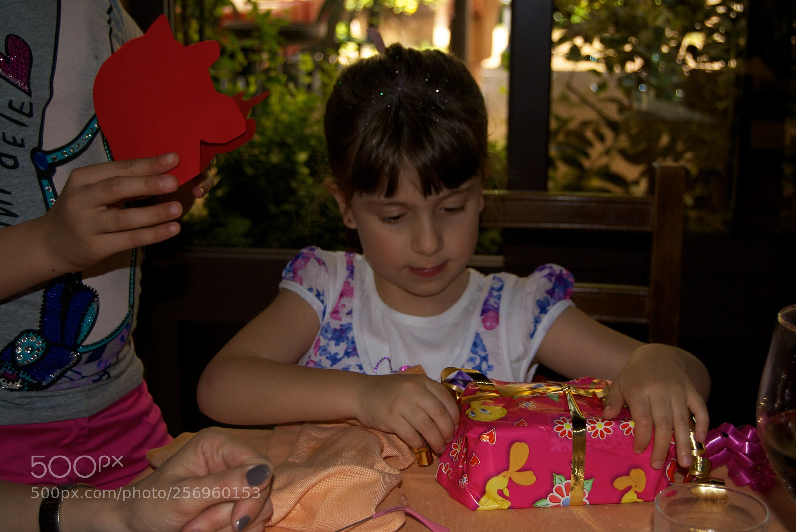 Nikon D60 sample photo. Version photography