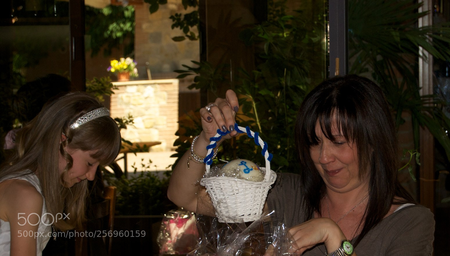 Nikon D60 sample photo. Version photography