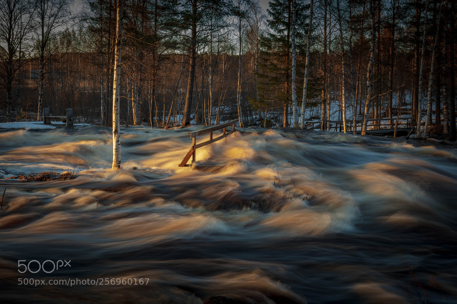 Canon EOS 5DS R sample photo. Hardtoget bridge photography