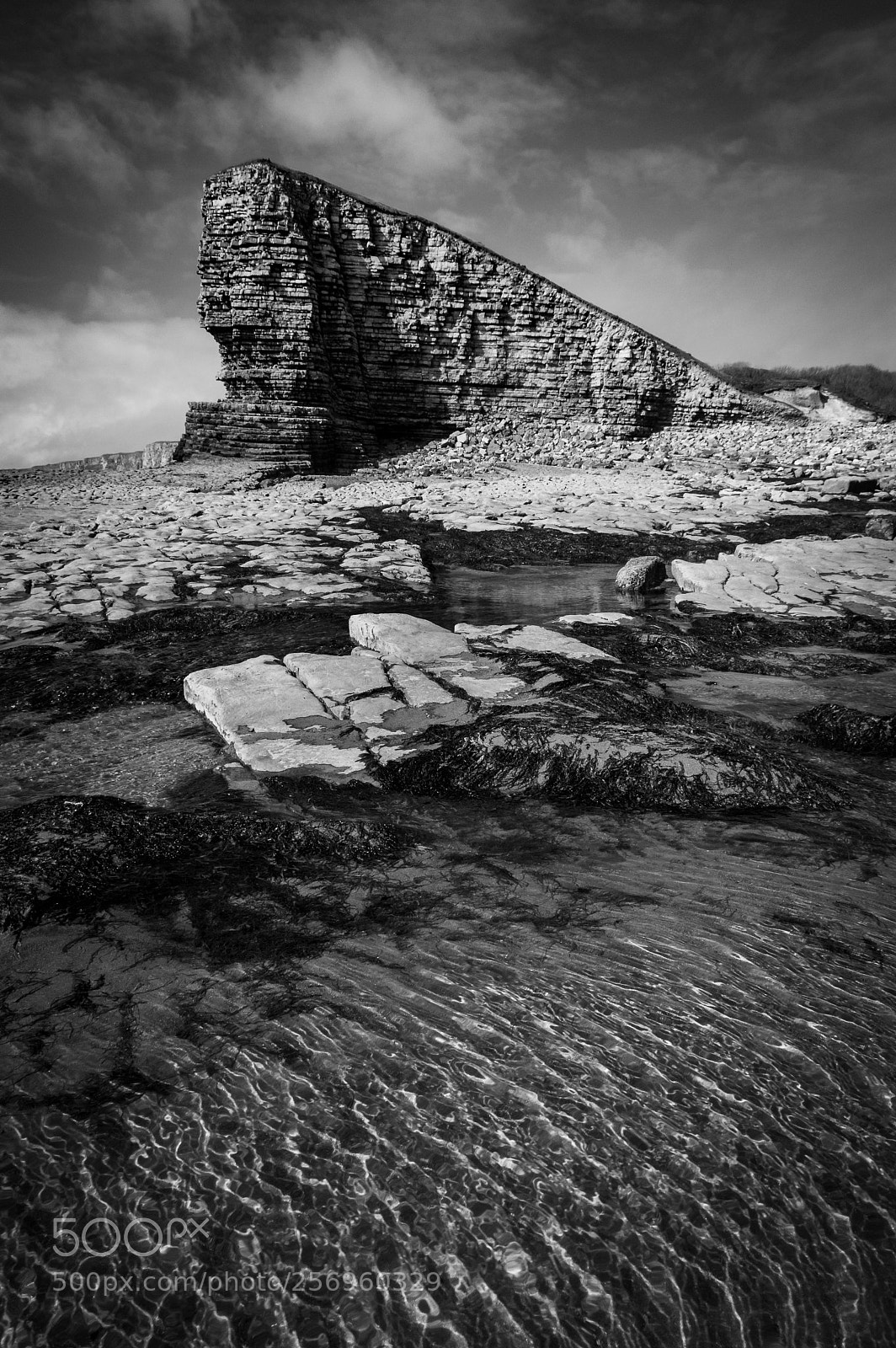 Pentax K-3 II sample photo. Welsh sphinx photography