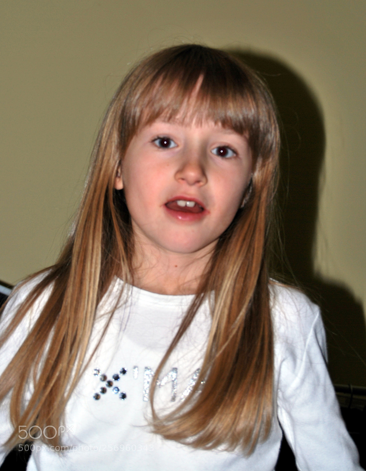 Nikon D60 sample photo. Dsc photography