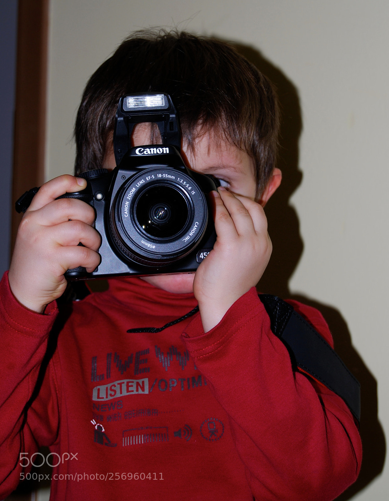 Nikon D60 sample photo. Dsc photography
