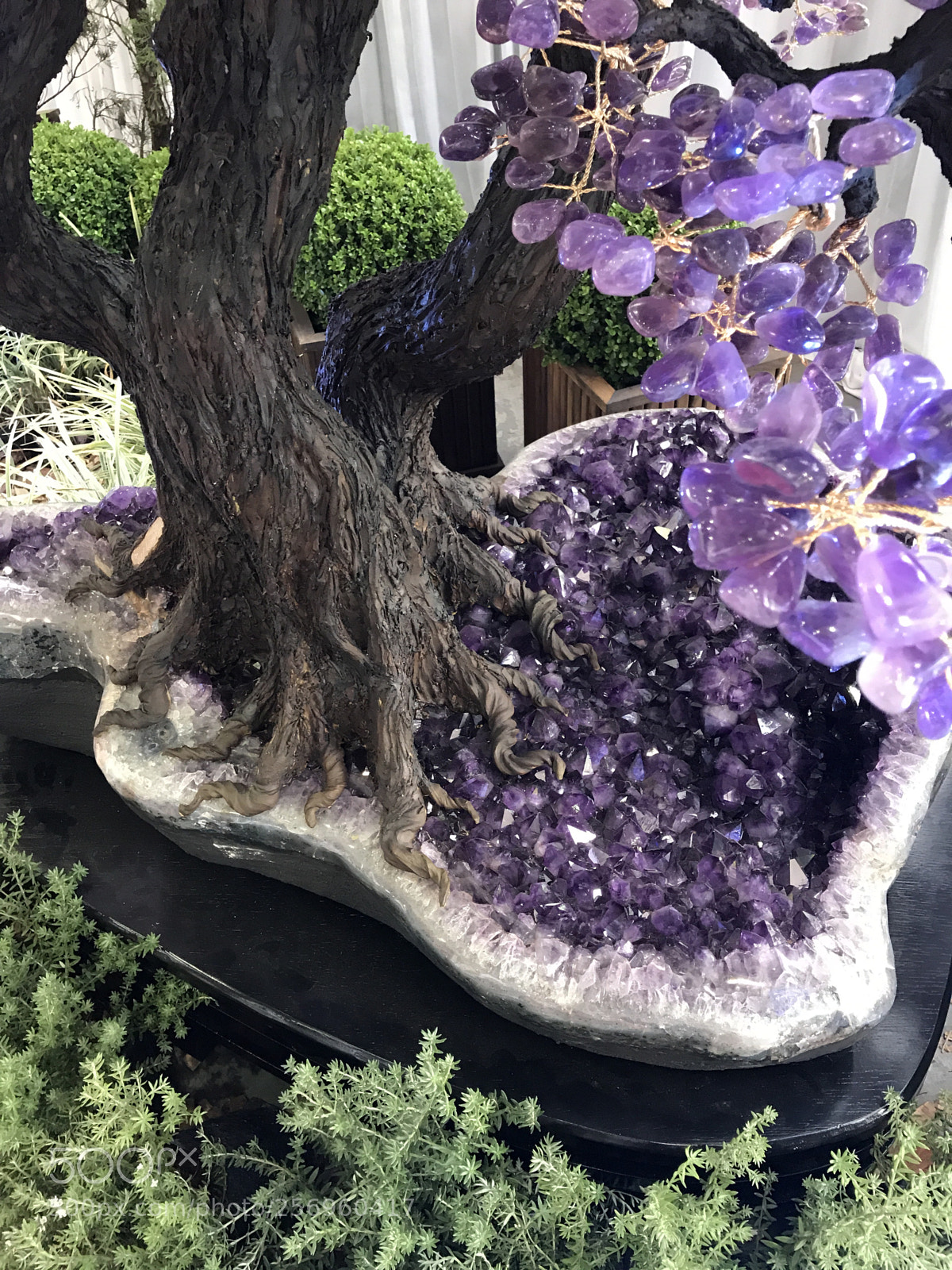 Apple iPhone 7 Plus sample photo. Amethyst tree details photography