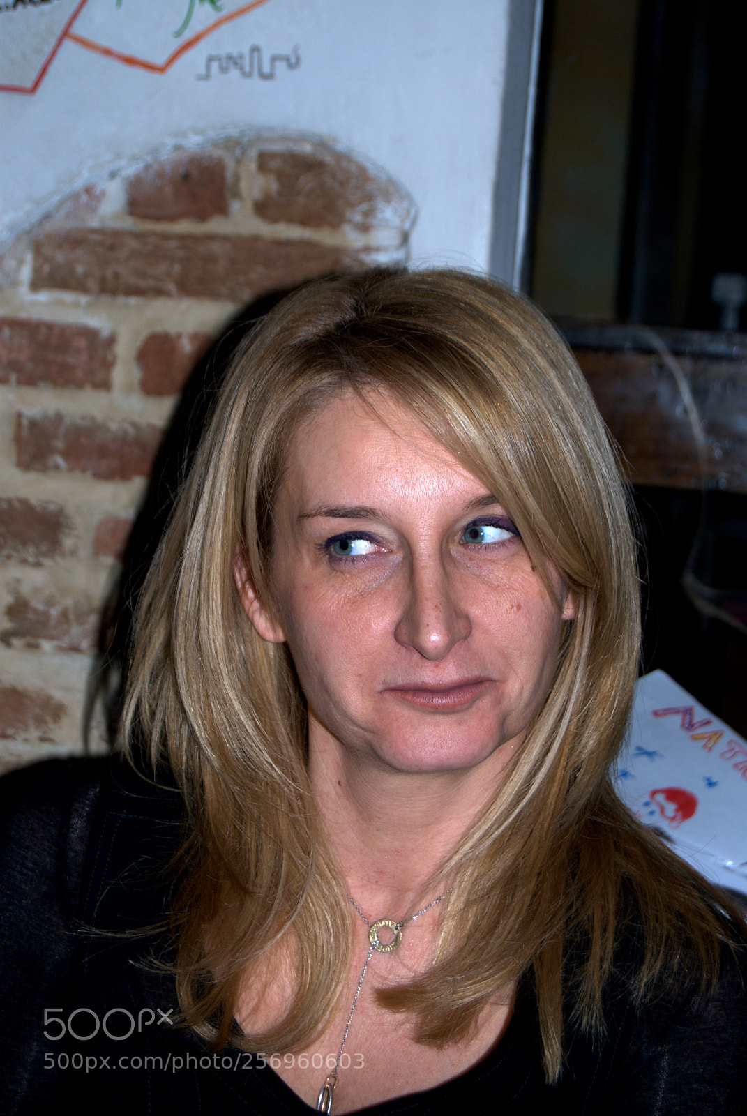 Nikon D60 sample photo. Version photography