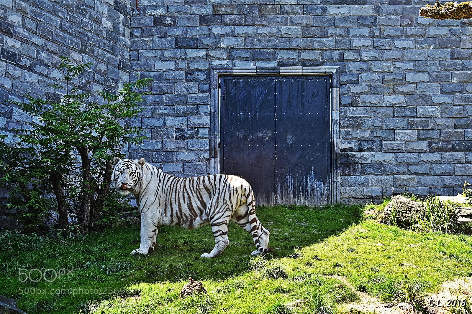 Nikon D3400 sample photo. Untitled photography