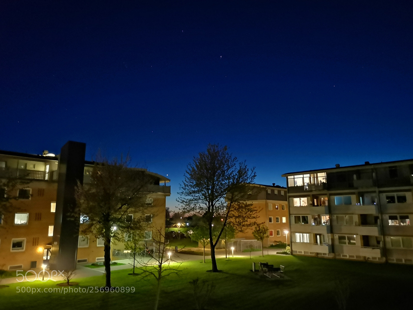 HUAWEI CLT-L29 sample photo. Untitled photography