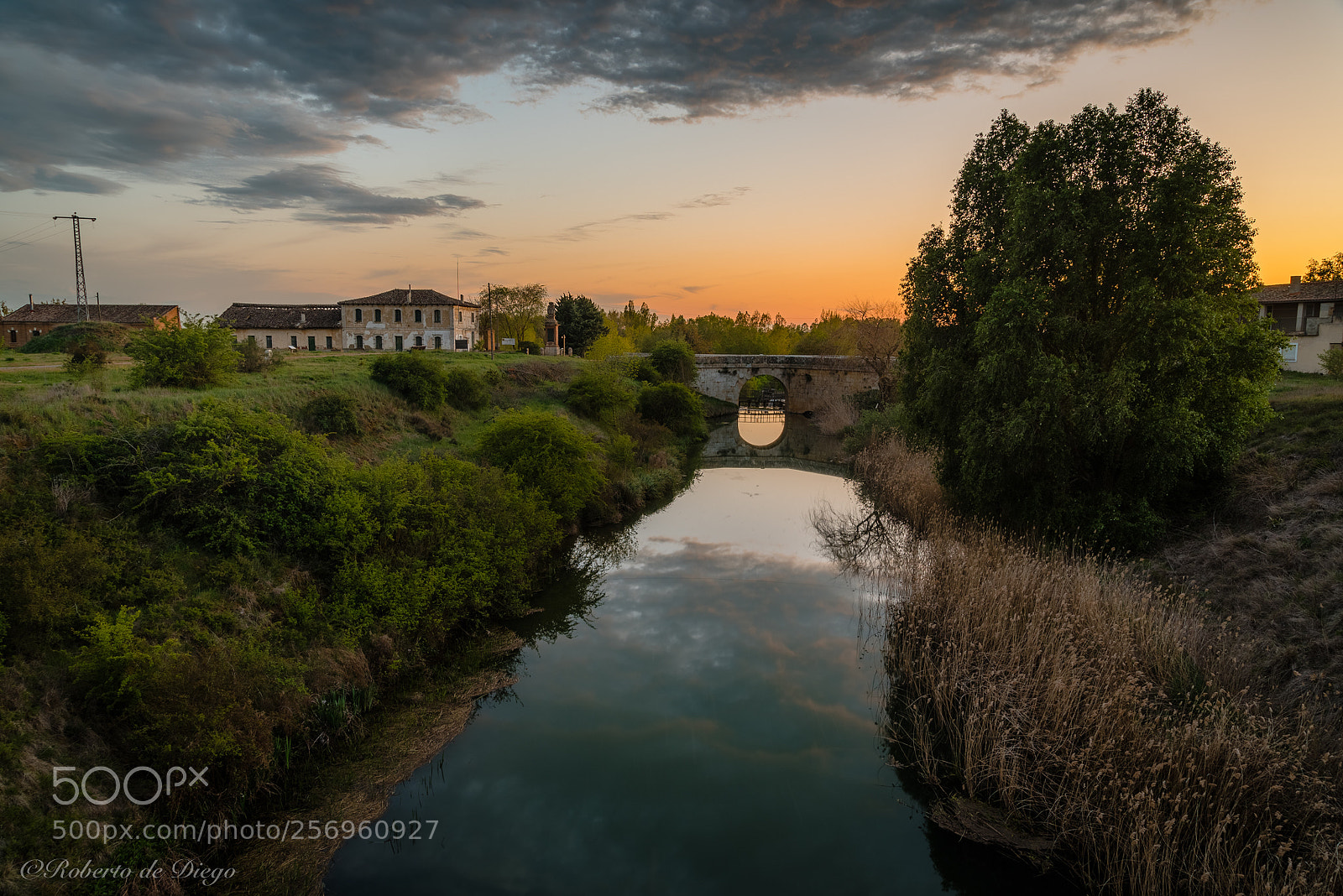 Nikon D750 sample photo. Canal de castilla. photography