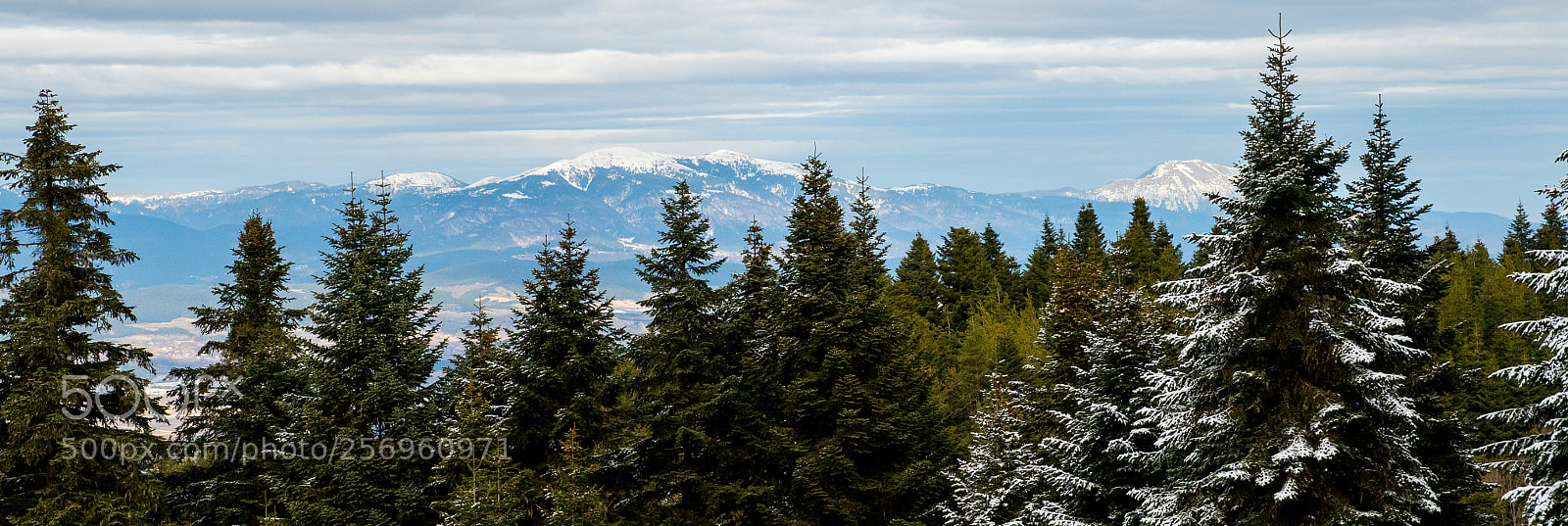 Nikon D810 sample photo. Winter is coming photography