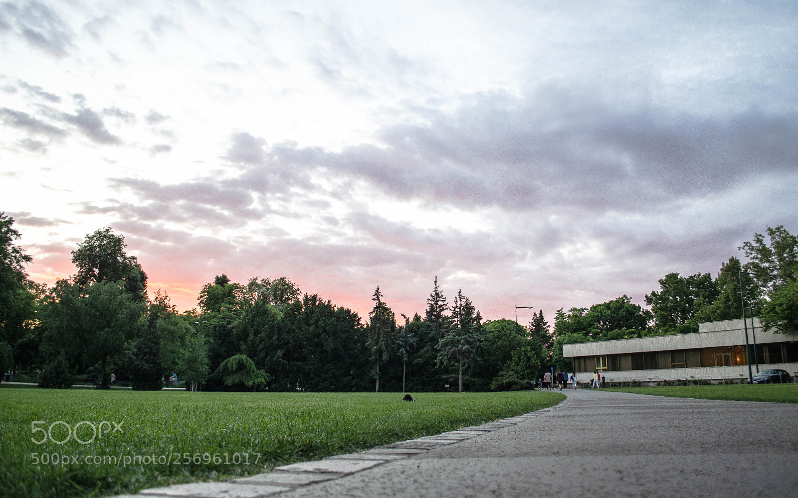 Nikon D5100 sample photo. Sunset on margaret island photography