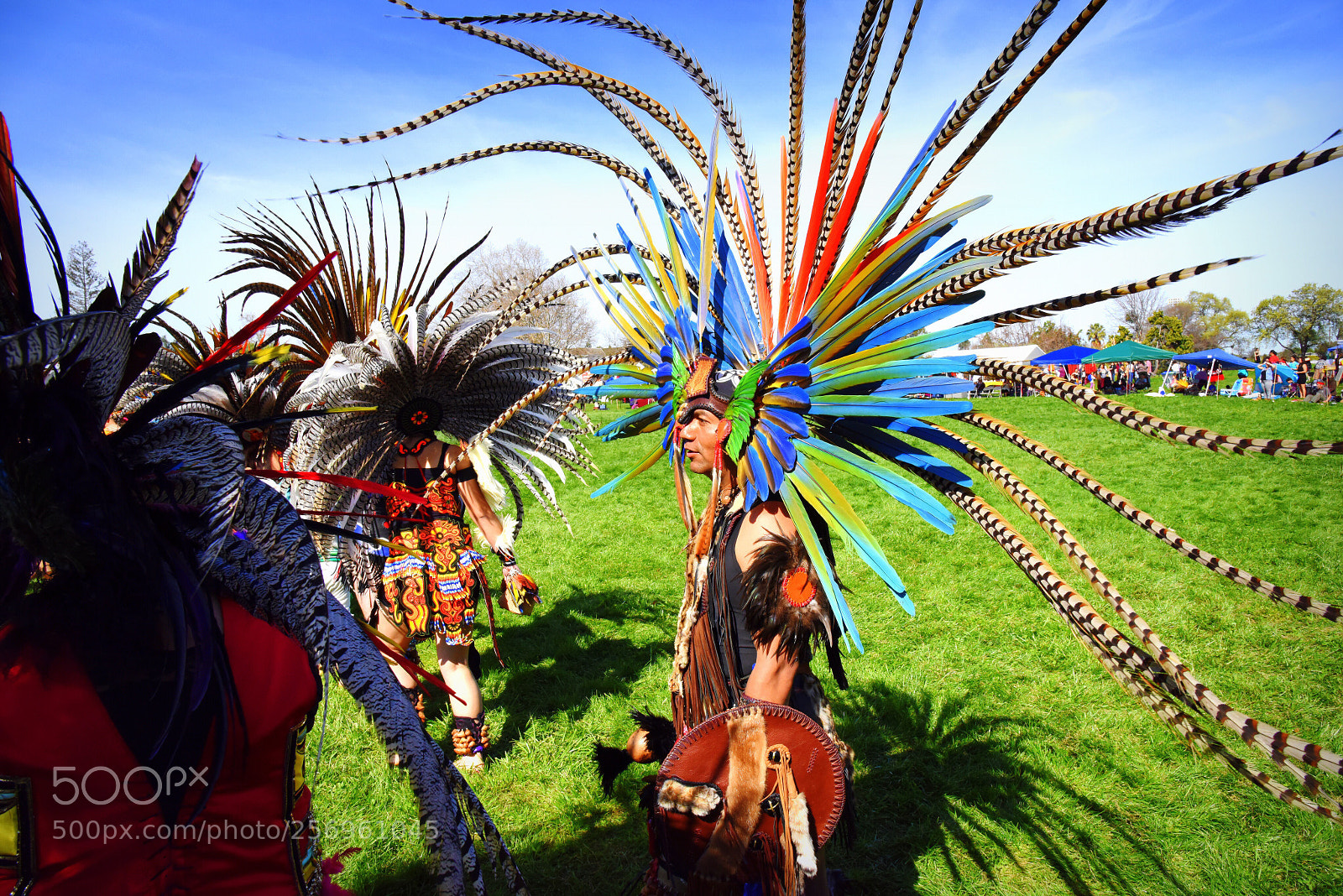 Nikon D810 sample photo. The warrior.  photography