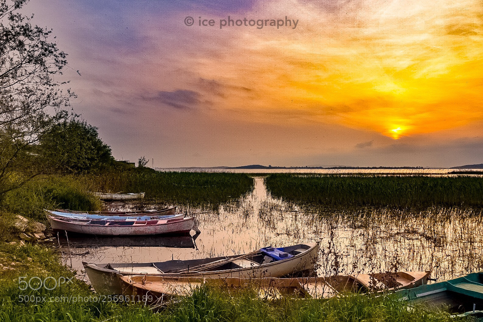 Nikon D7200 sample photo. Boats photography