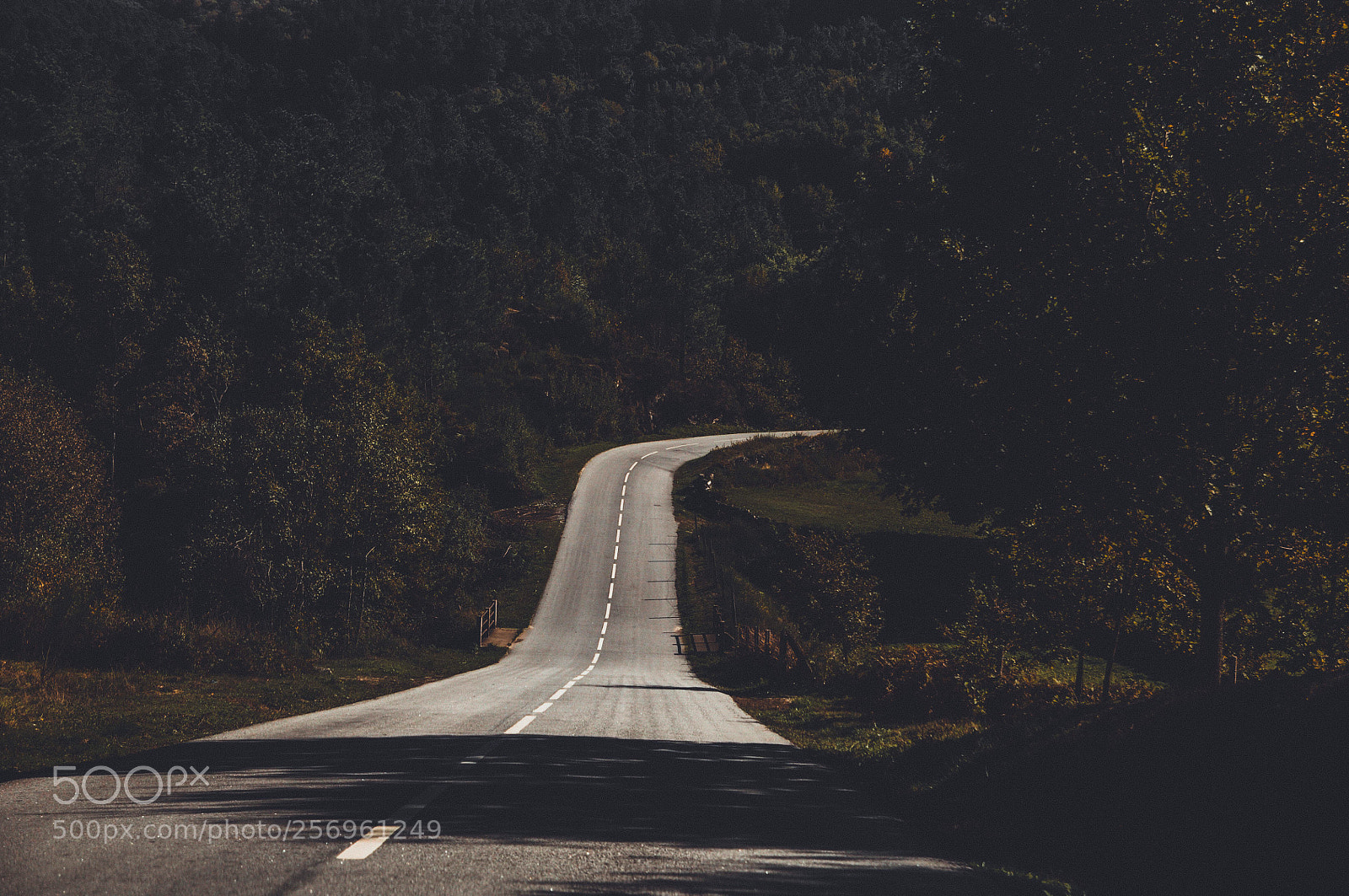 Nikon D90 sample photo. The road photography