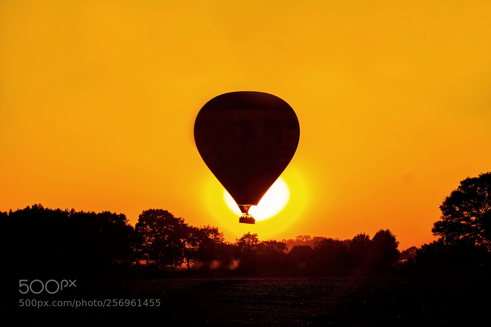 Canon EOS 5D Mark II sample photo. Ballooning photography