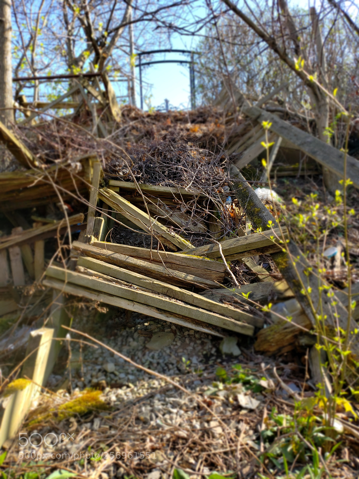 Samsung Galaxy S9+ sample photo. Old staircase photography