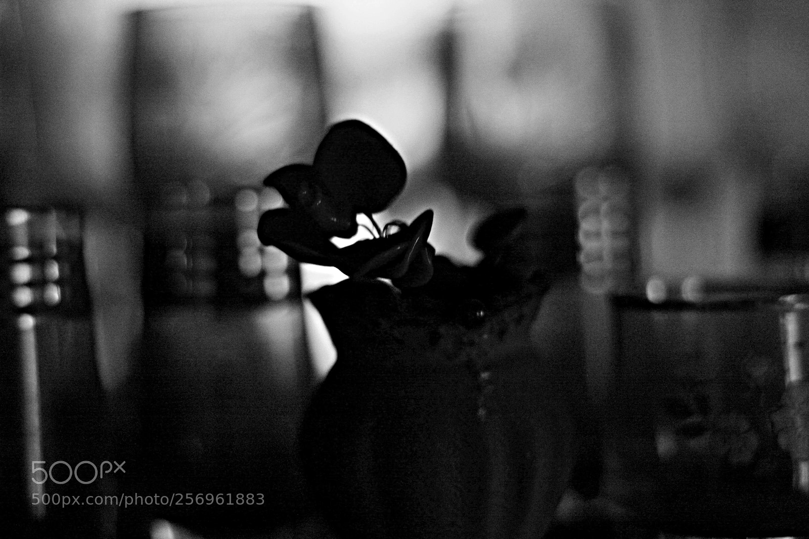 Canon EOS 40D sample photo. Rien photography