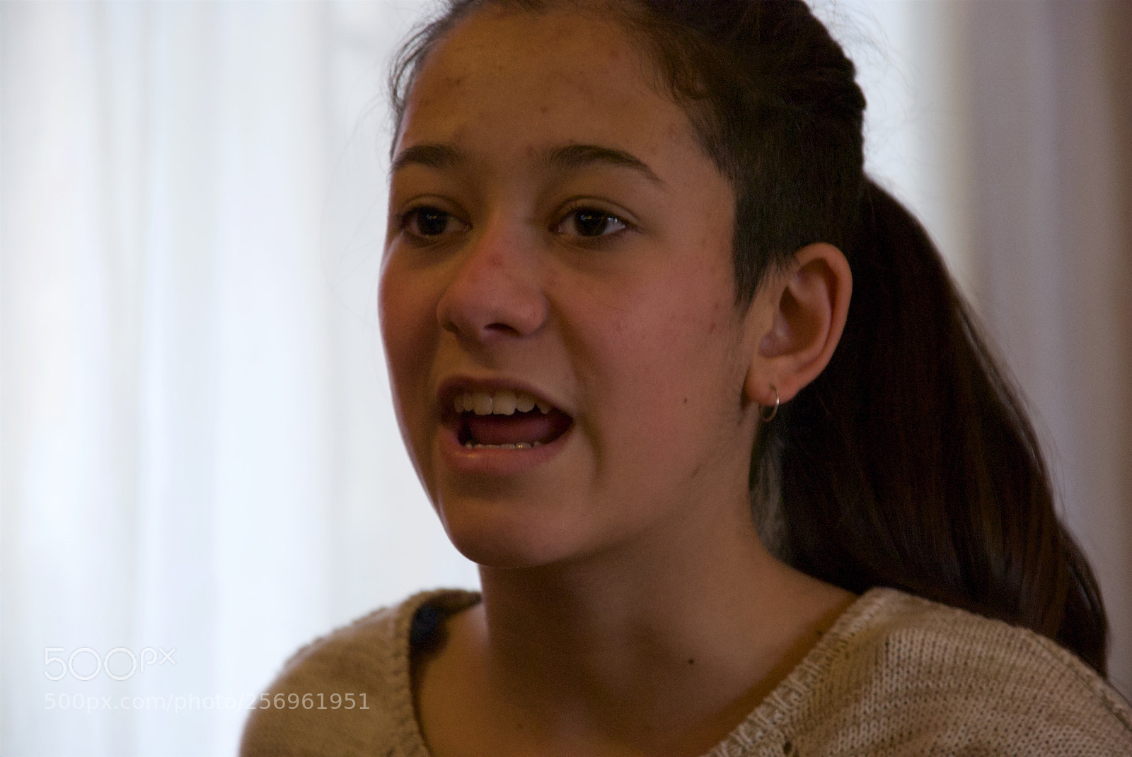 Nikon D60 sample photo. Version photography