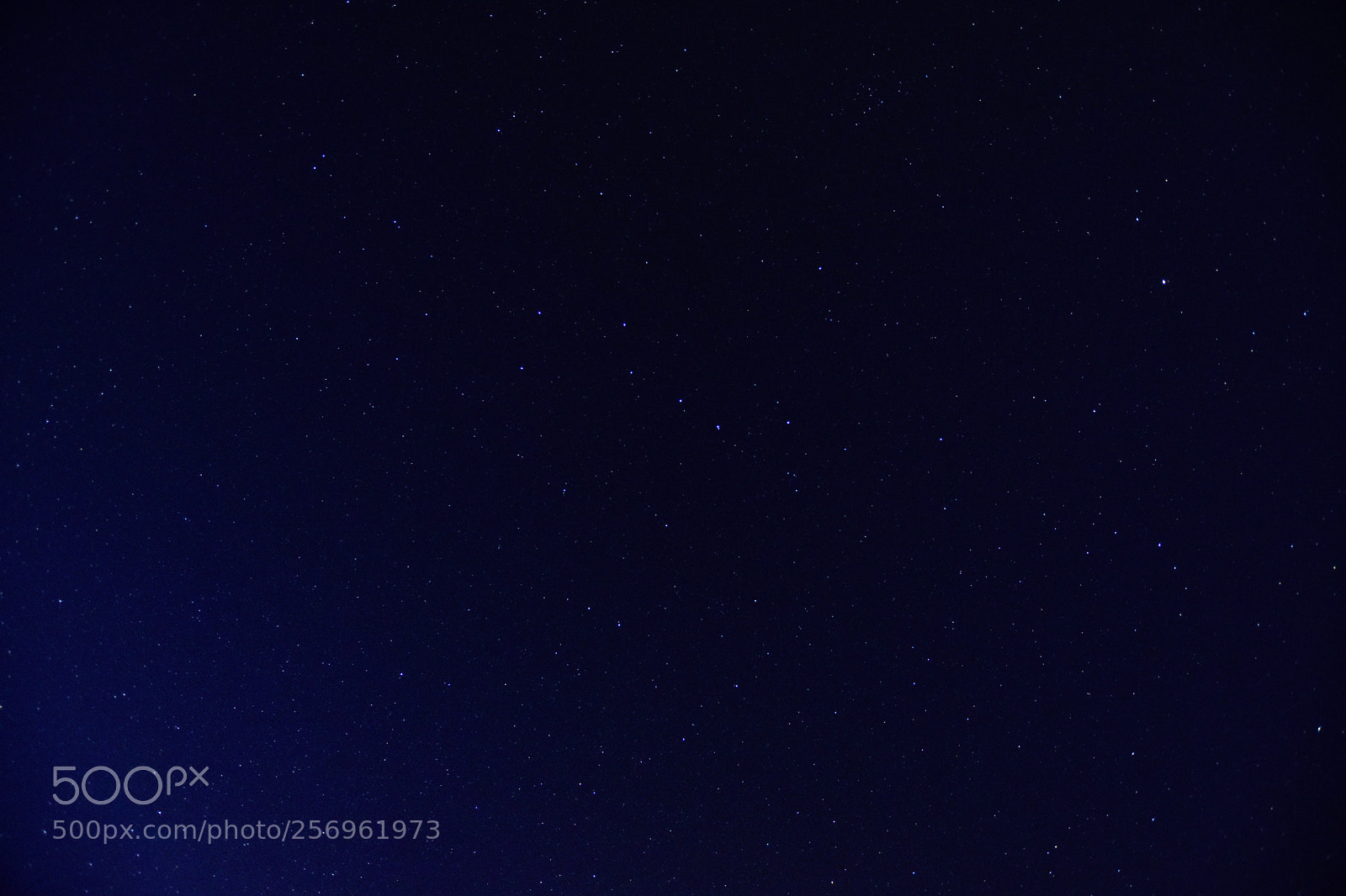 Nikon D7200 sample photo. Untitled photography
