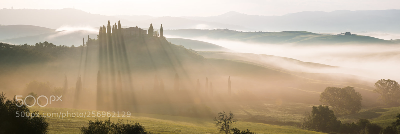 Canon EOS 70D sample photo. Foggy sunrise in tuscany photography