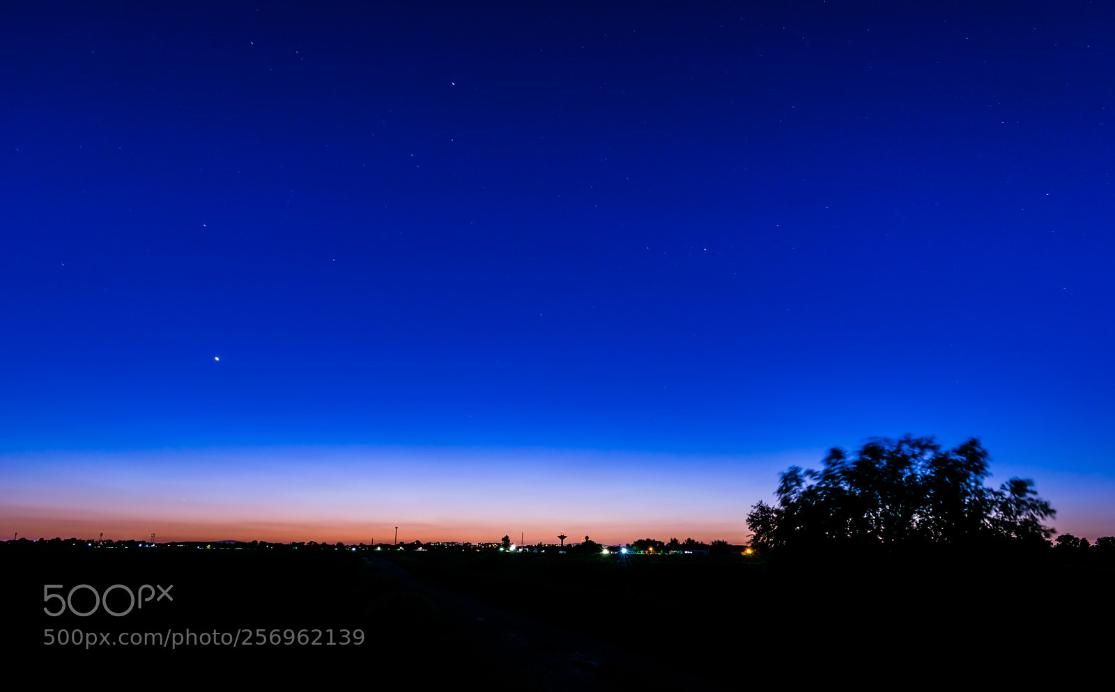 Nikon D3300 sample photo. Blue hour stars photography