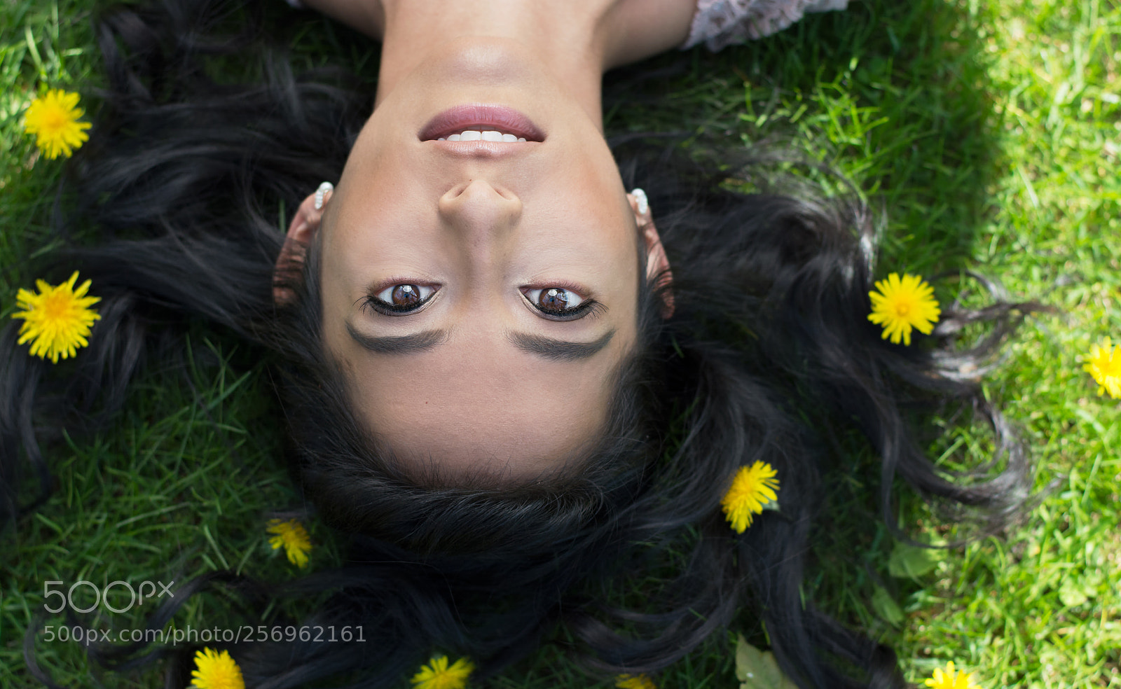 Nikon D5200 sample photo. Dandelion summer photography