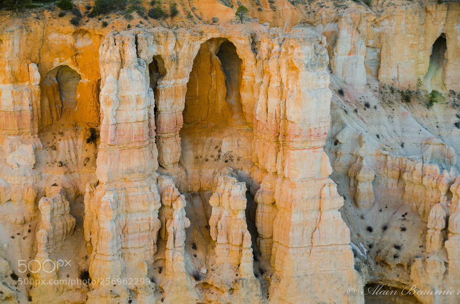 Nikon D7000 sample photo. Bryce canyon, utah photography