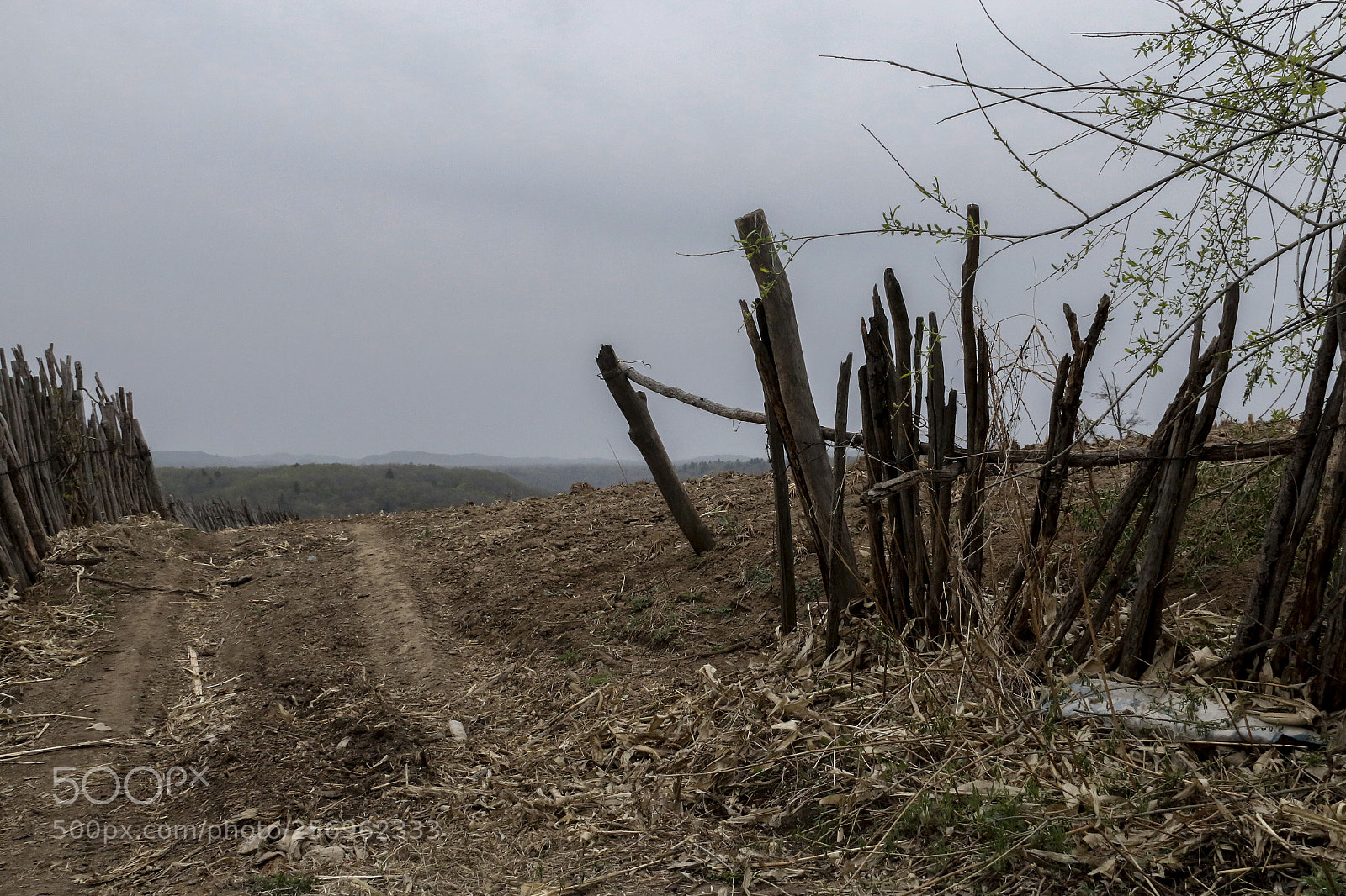 Canon EOS 70D sample photo. The road to the photography