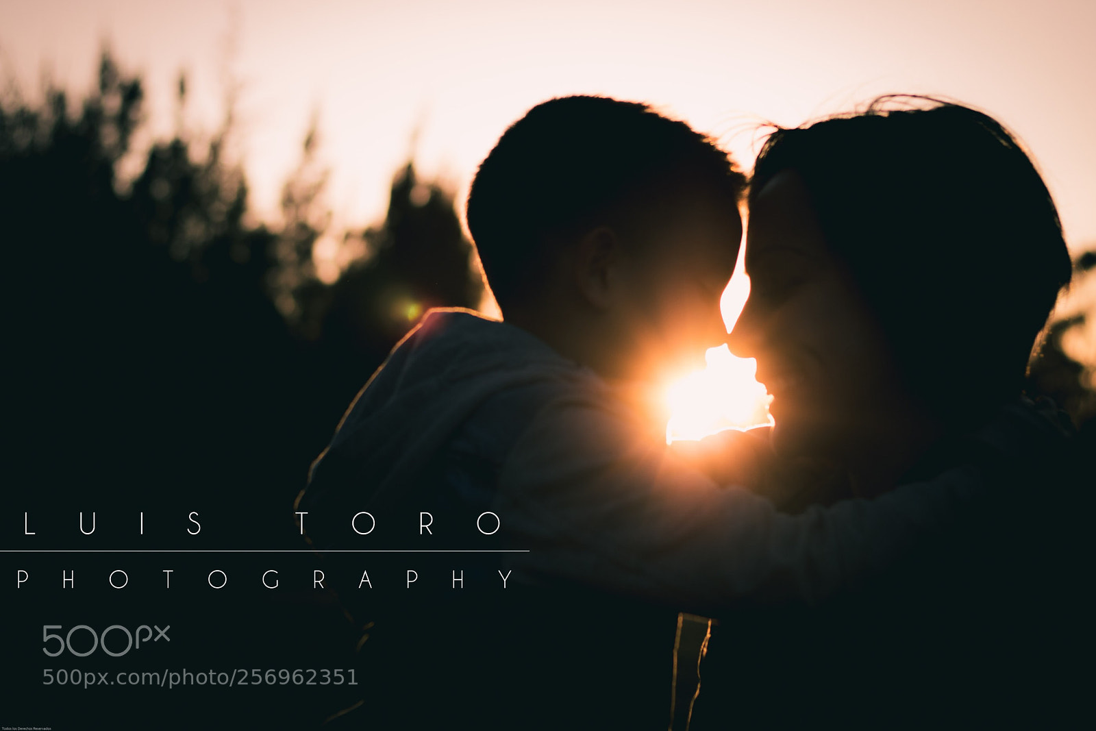 Canon EOS 750D (EOS Rebel T6i / EOS Kiss X8i) sample photo. Untitled photography