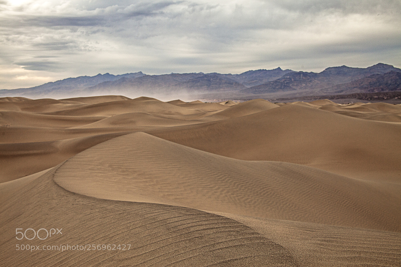 Canon EOS 5D Mark II sample photo. Some dunes somewhere photography