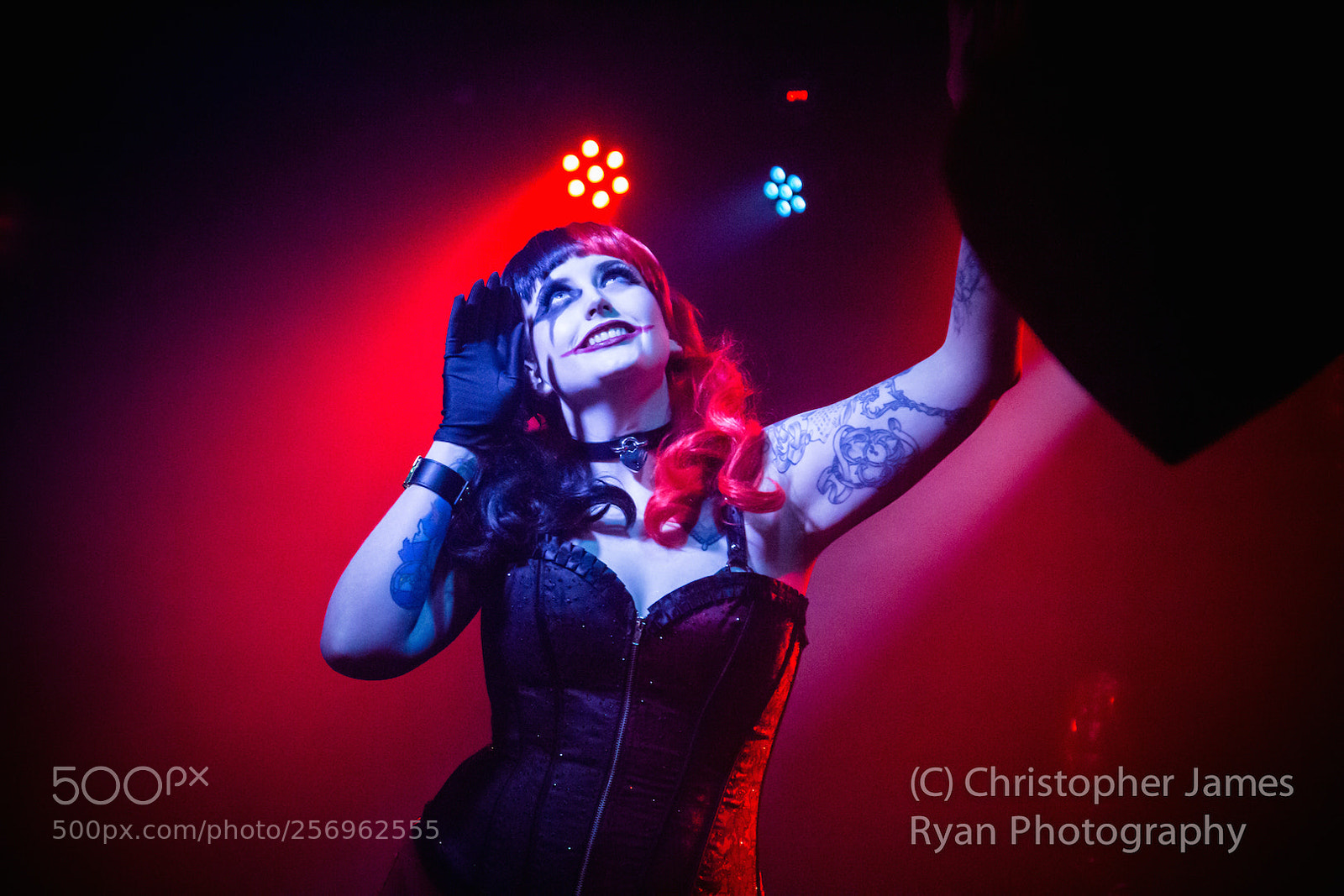 Canon EOS 6D sample photo. Burlesque show: harley quinn photography