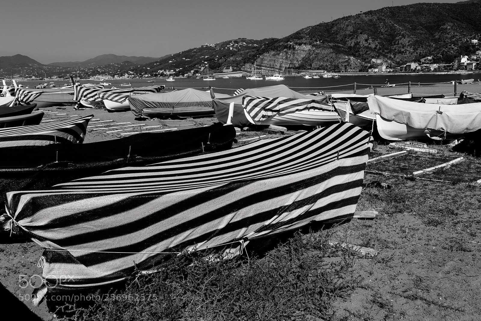 Nikon D750 sample photo. Boatplace photography