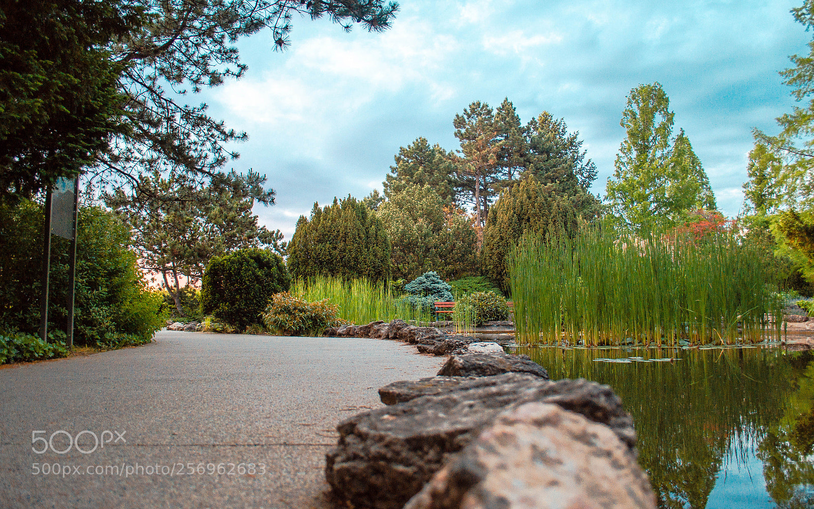 Nikon D5100 sample photo. Lake on margaret island photography