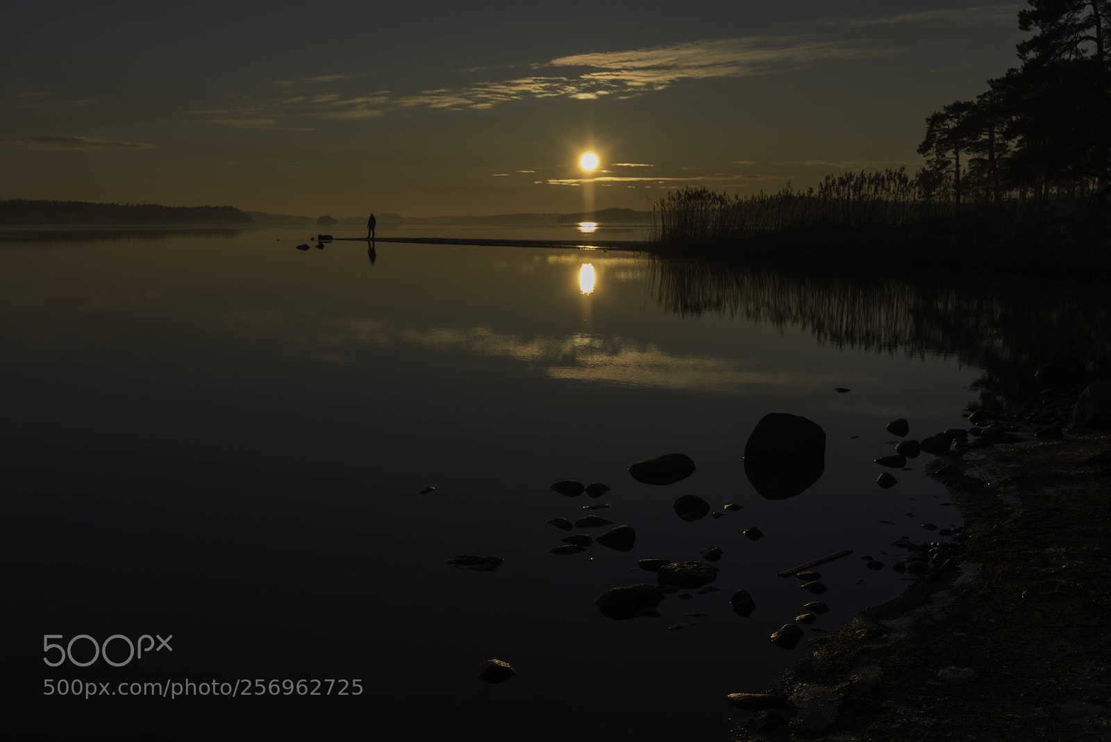 Nikon D800E sample photo. Between the sun and photography