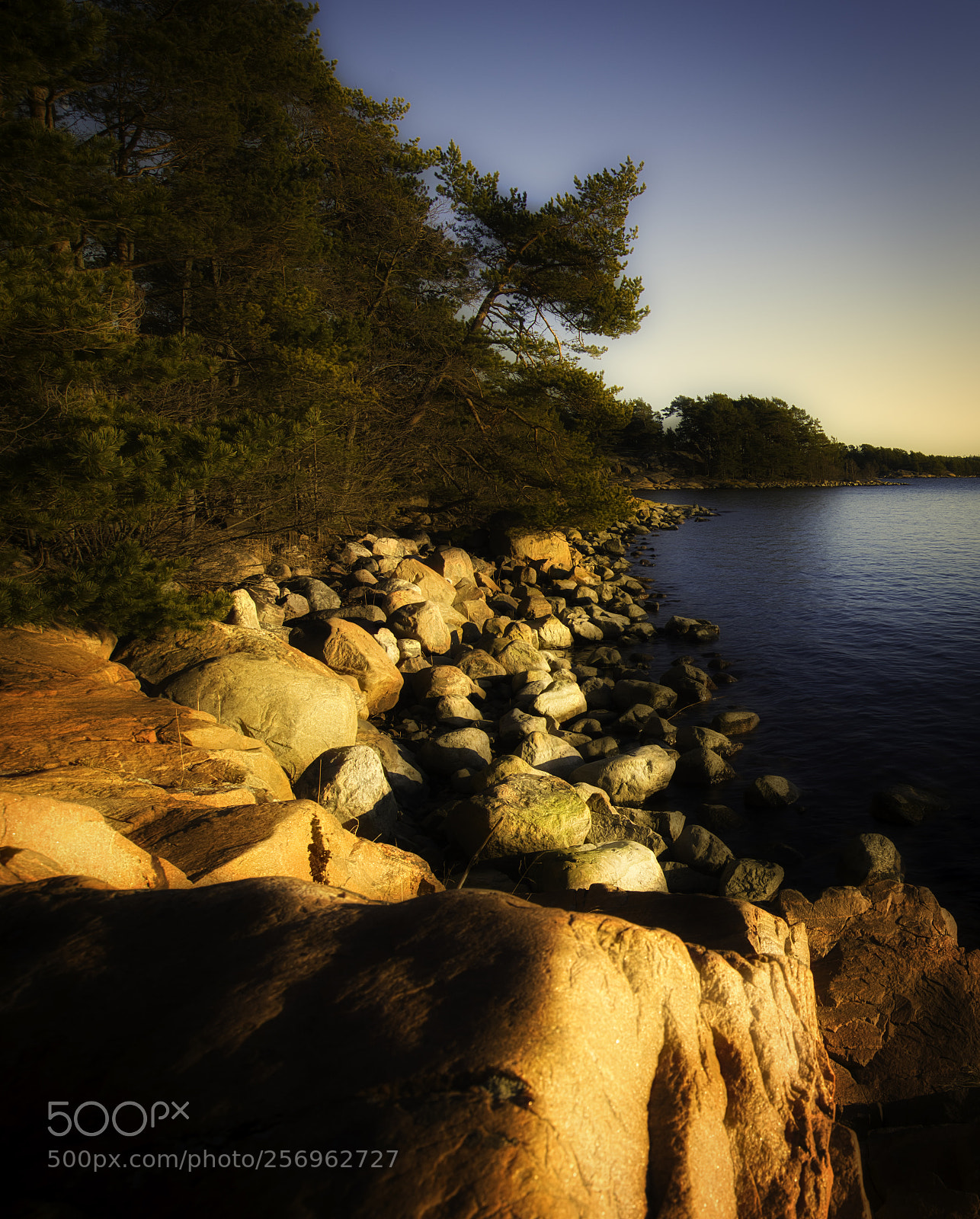 Nikon D800E sample photo. In the last sun photography