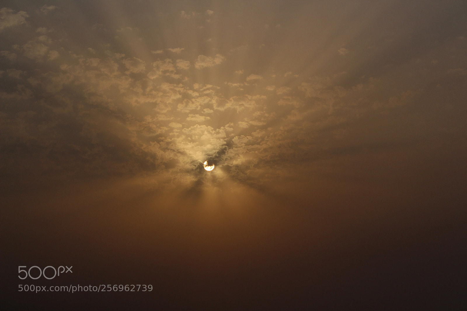 Canon EOS 650D (EOS Rebel T4i / EOS Kiss X6i) sample photo. Setting the sun! photography