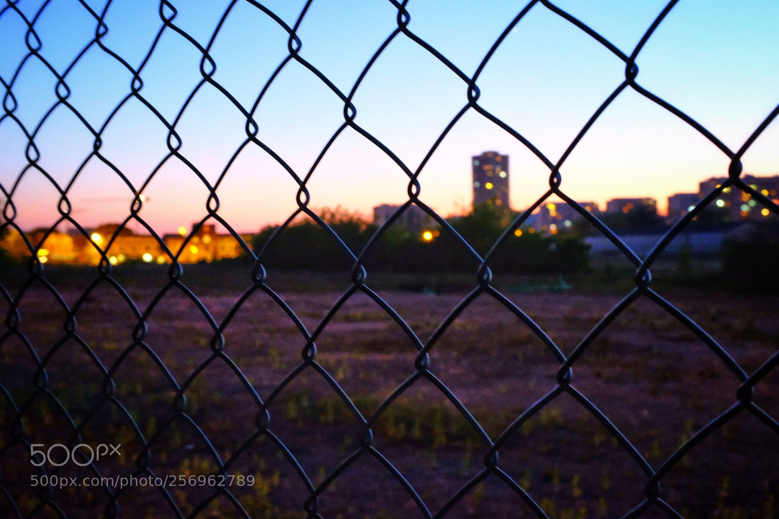 Fujifilm X100F sample photo. Untitled photography